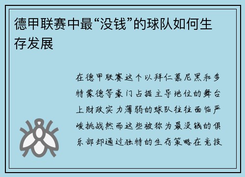 德甲联赛中最“没钱”的球队如何生存发展