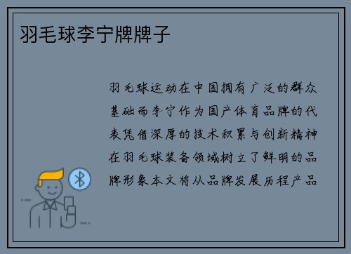 羽毛球李宁牌牌子