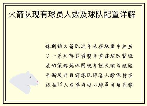 火箭队现有球员人数及球队配置详解